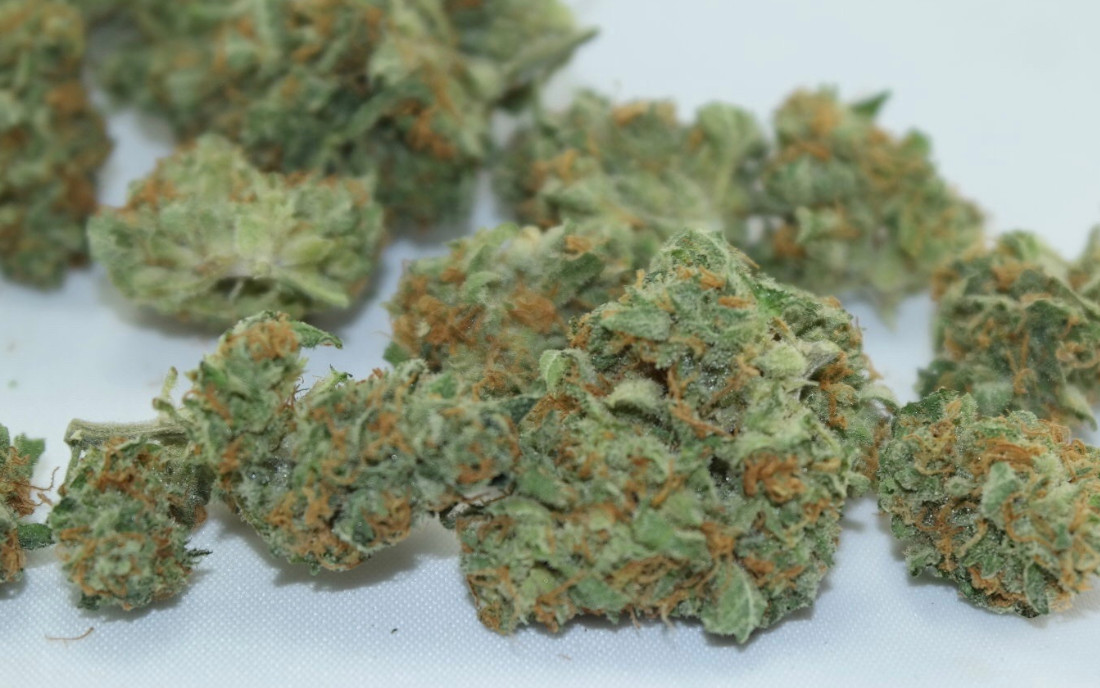 Tangie DNA Genetics