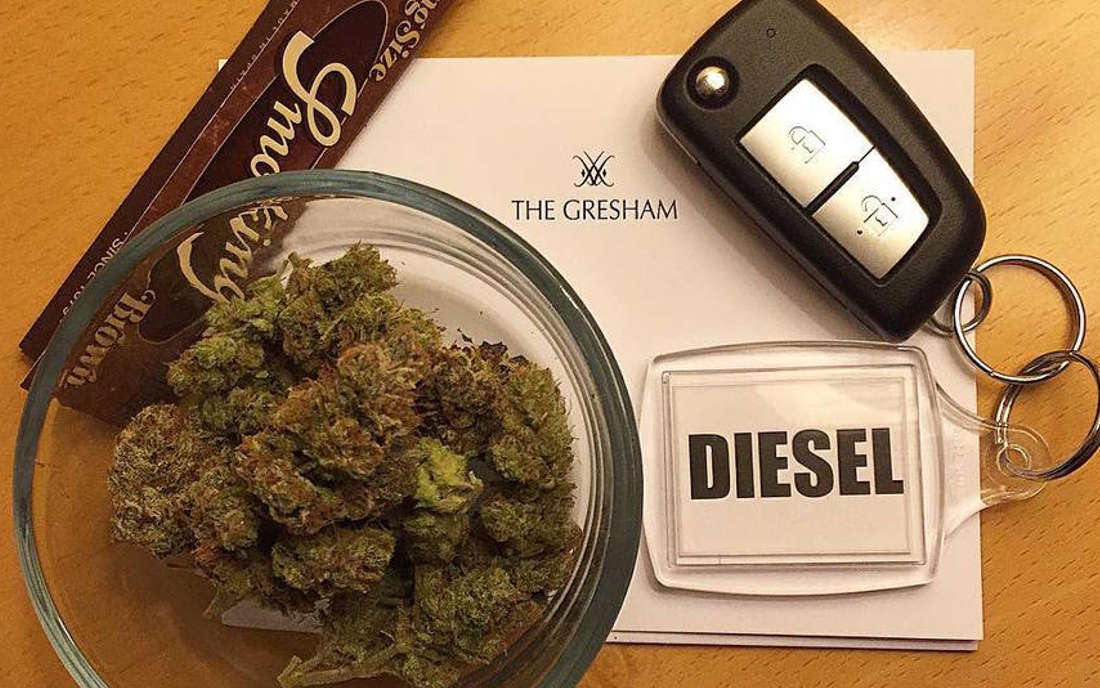 Odmiana marihuany Sour Diesel sklep