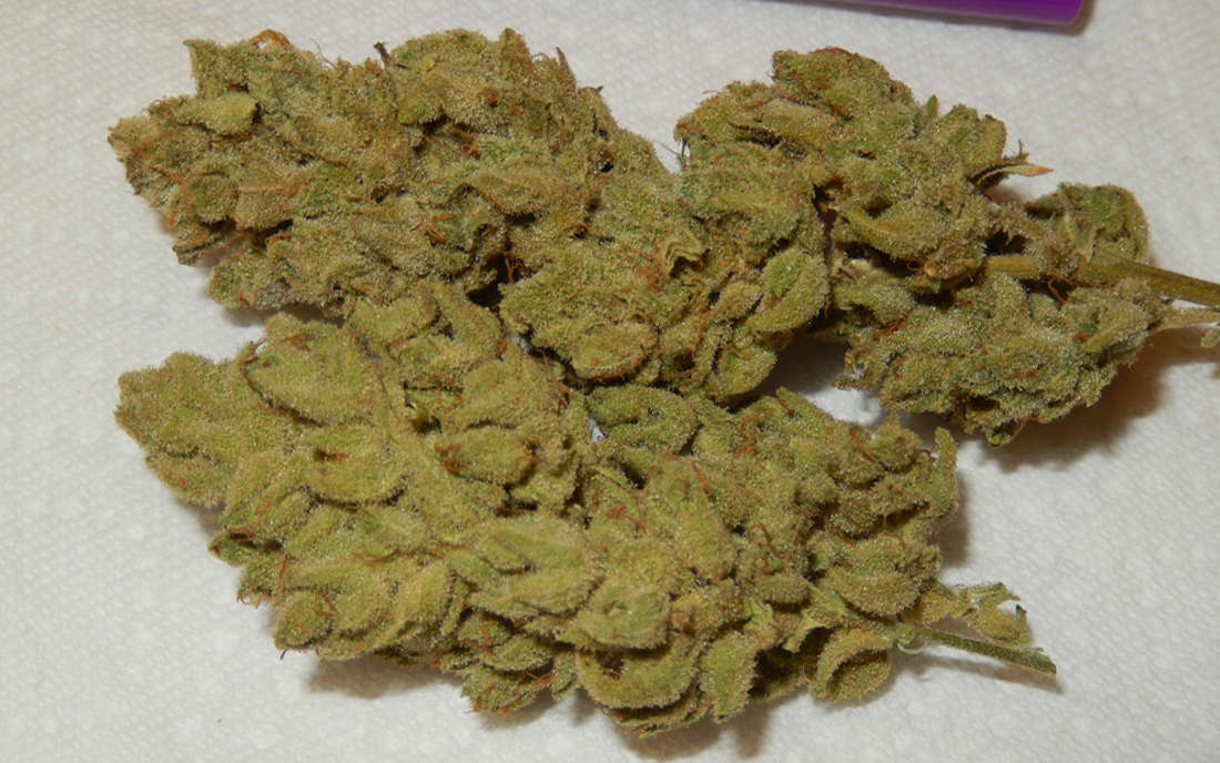 Topy Gorilla Glue 4