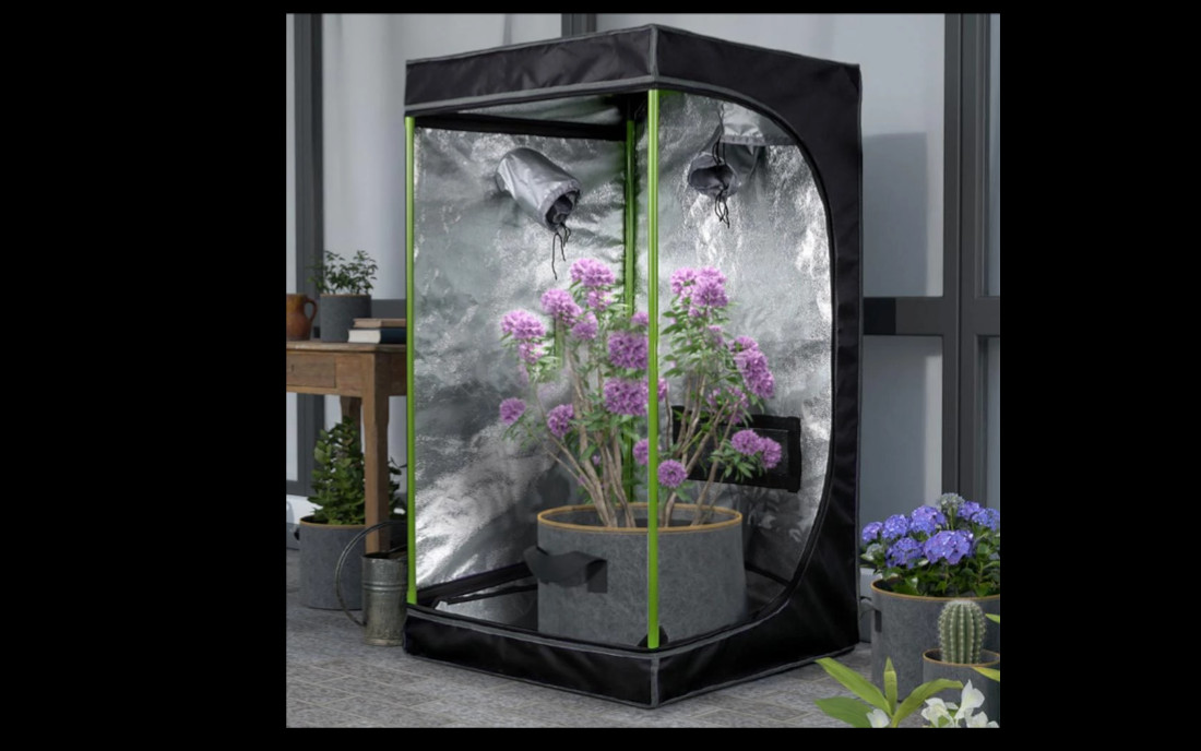 Growbox 