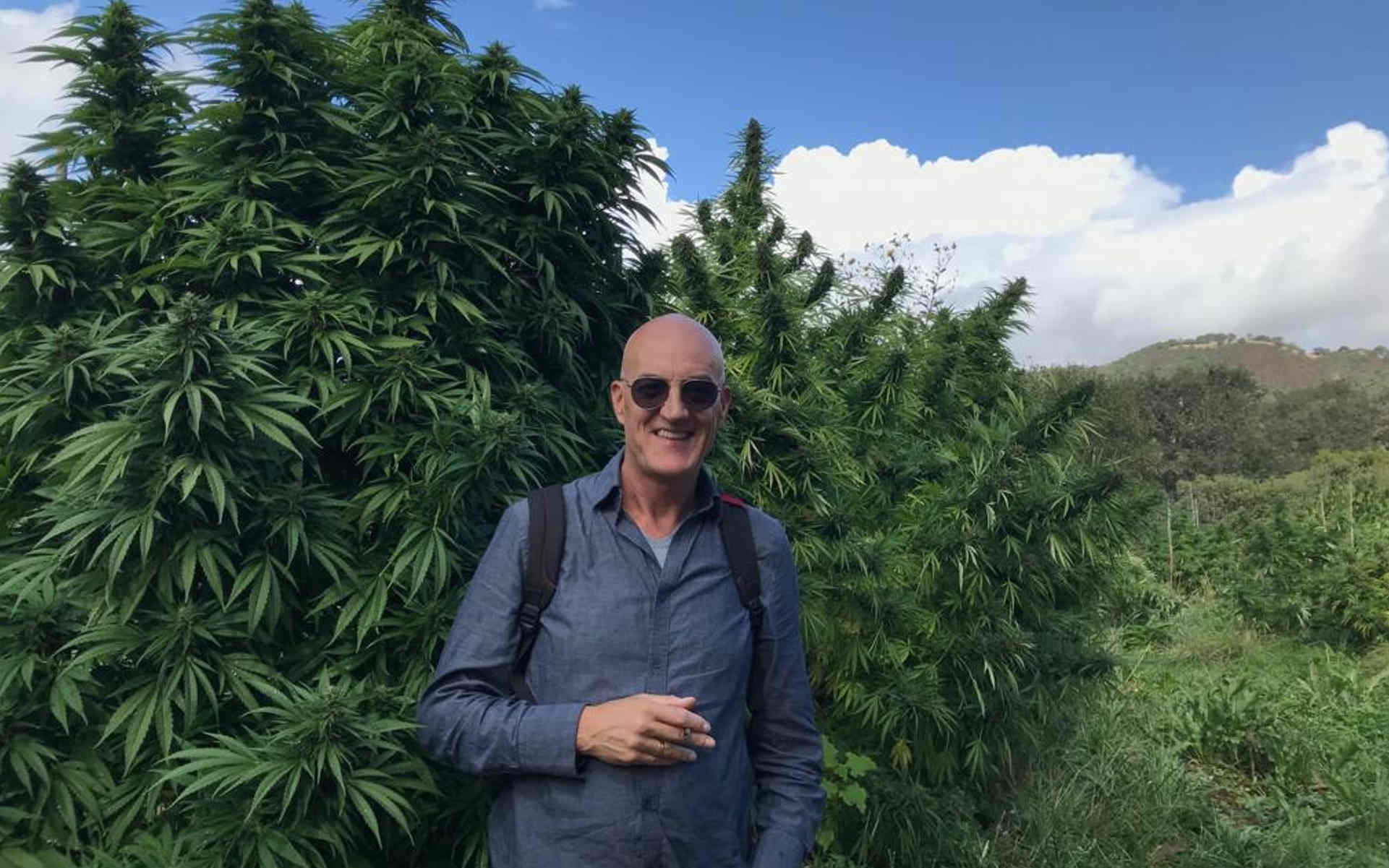 Historia Super Sativa Seed Club