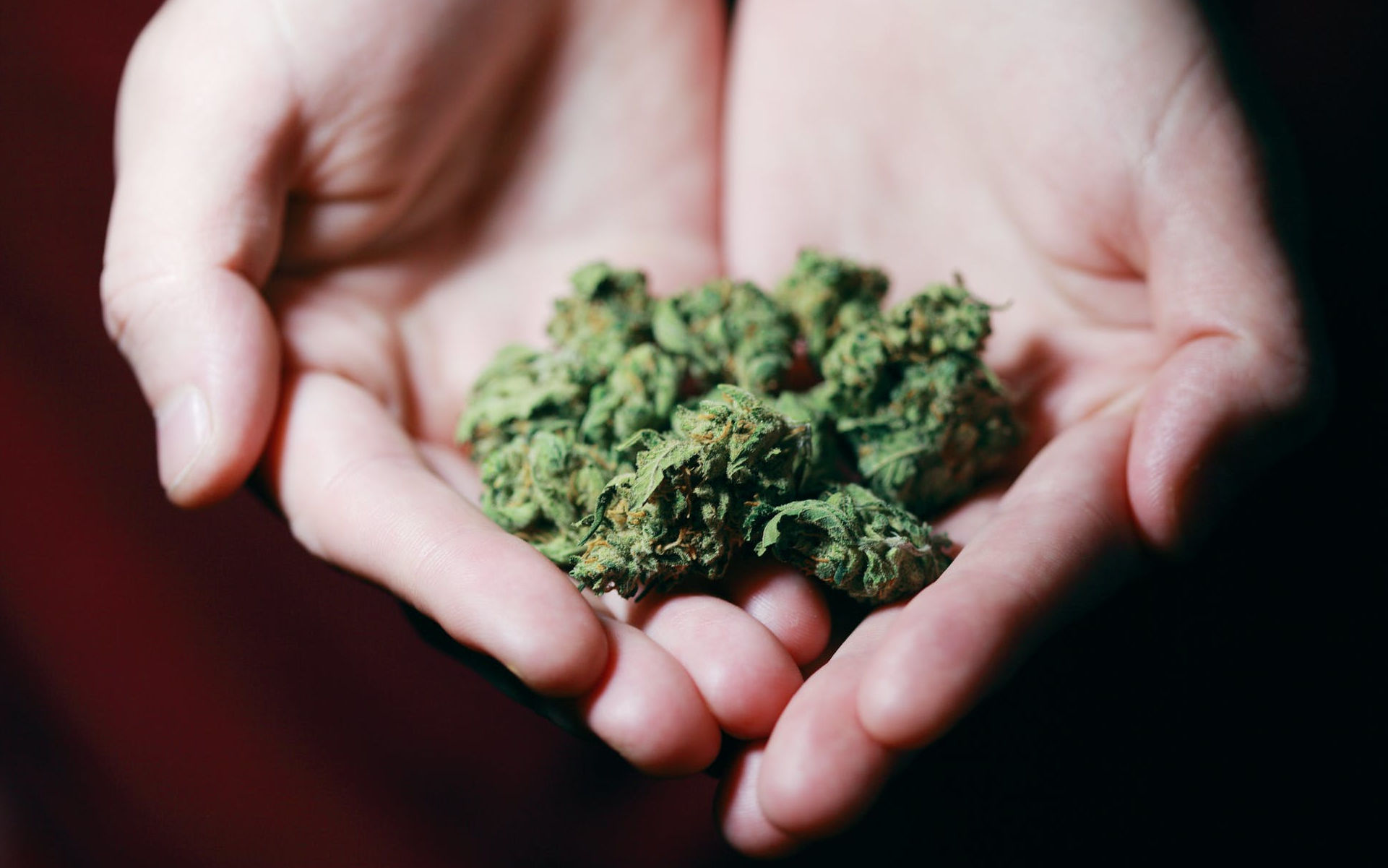 Co to jest kush?