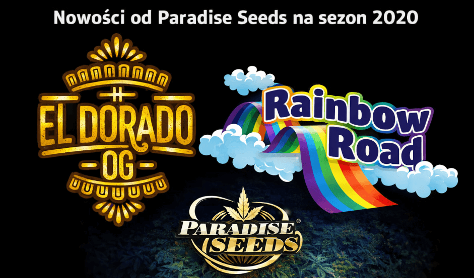 Nowości od Paradise Seeds na sezon 2020