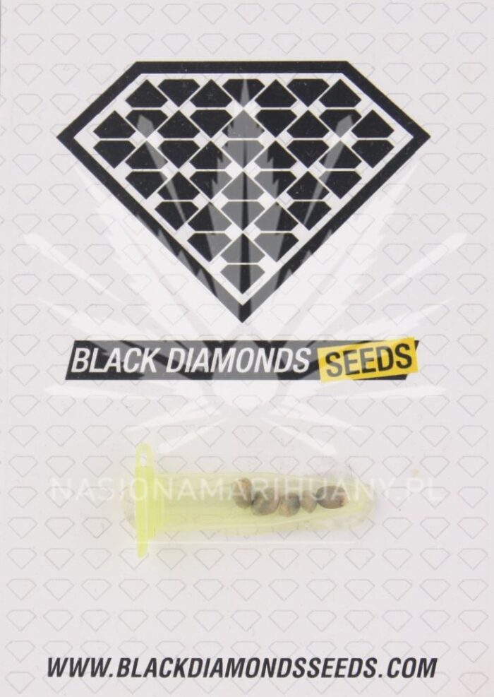 Black Jack Herer