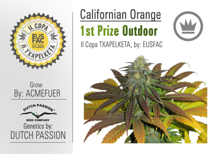 Californian Orange