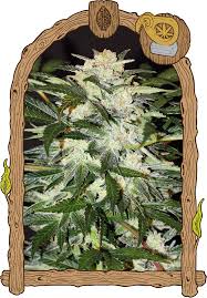 Monster Mash Auto
