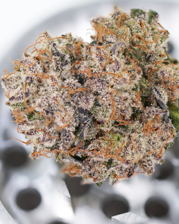 Auto Mimosa Punch
