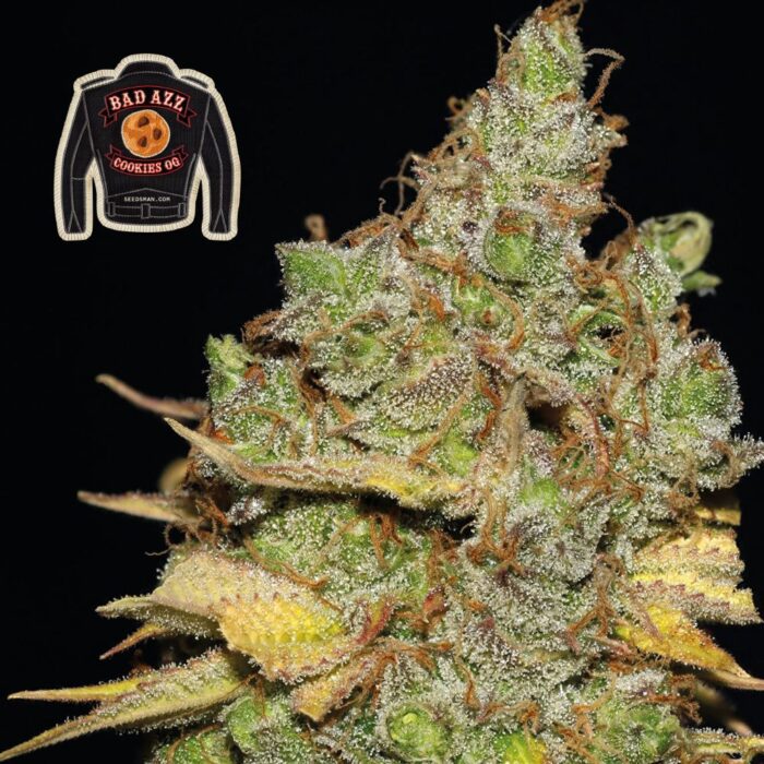 Badazz Cookies OG