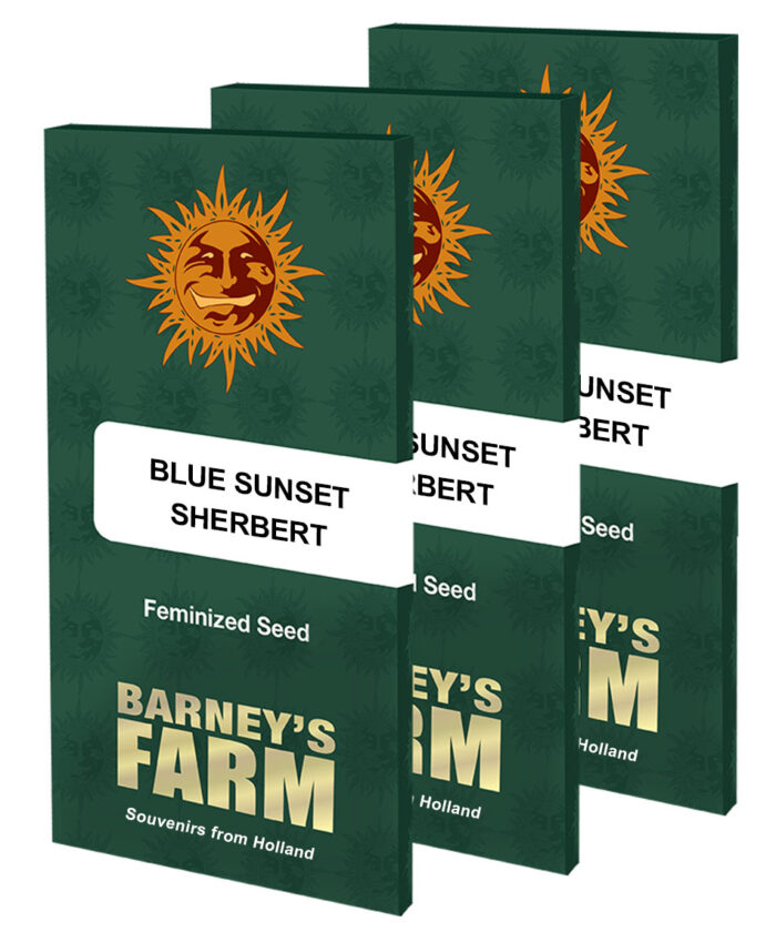Blue Sunset Sherbert