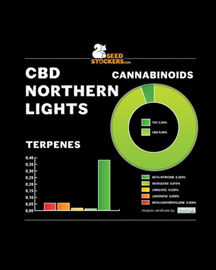 CBD Northern Lights