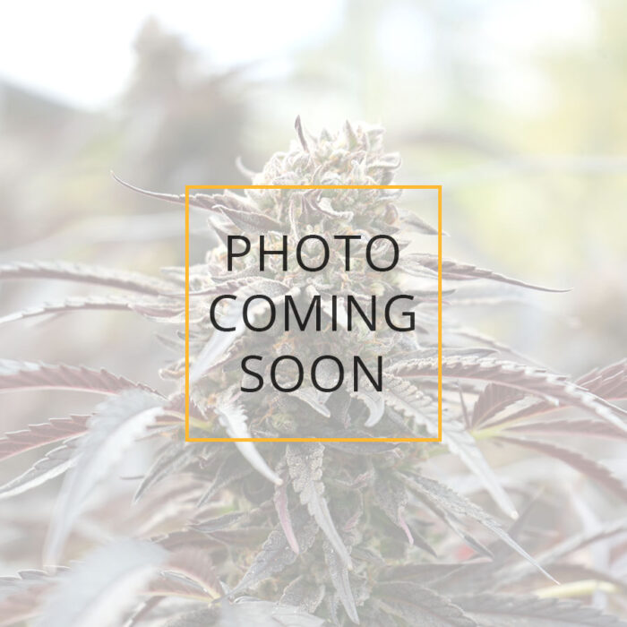 Cinnamon Buddha OG
