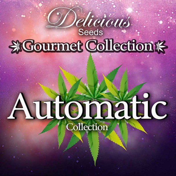 Gourmet Collection Automatic Strains 1
