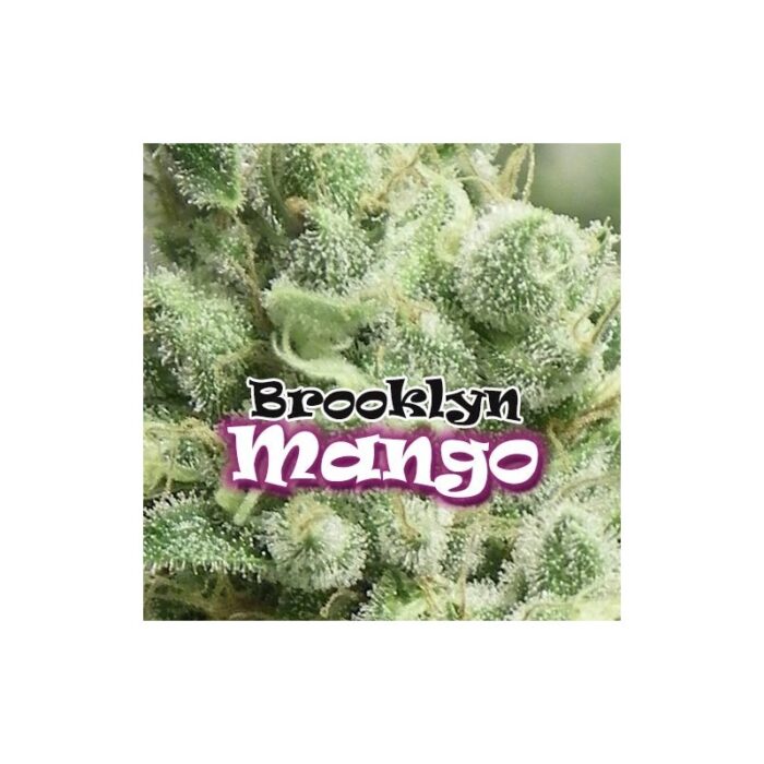 Brooklyn Mango