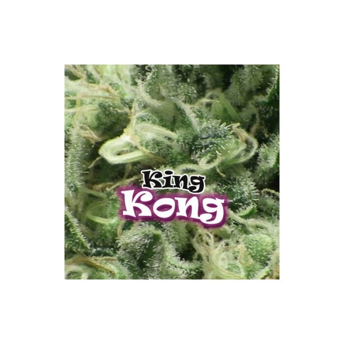 King Kong