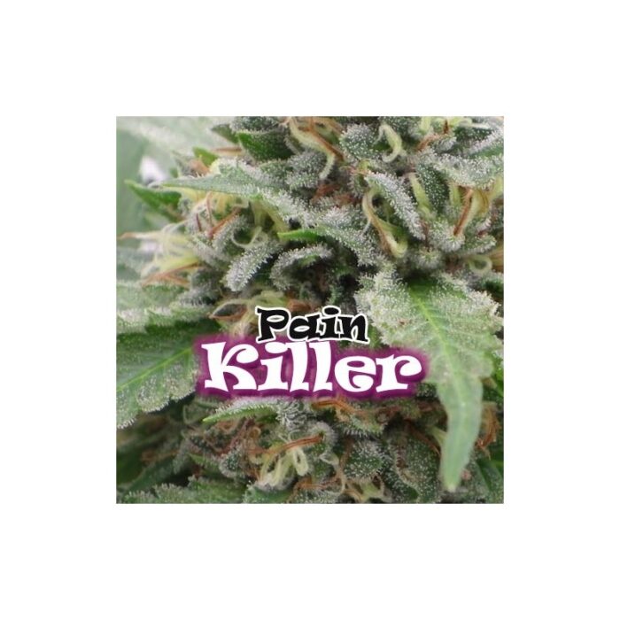 Painkiller