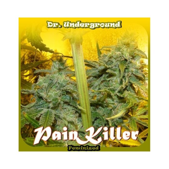 Painkiller