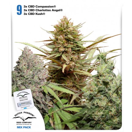 CBD Feminized Mix