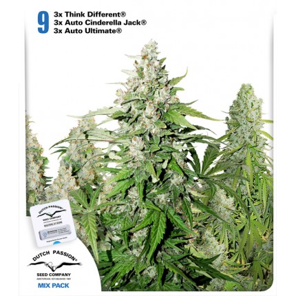 High Potency Autoflower Mix