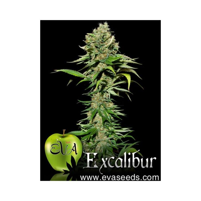 Excalibur
