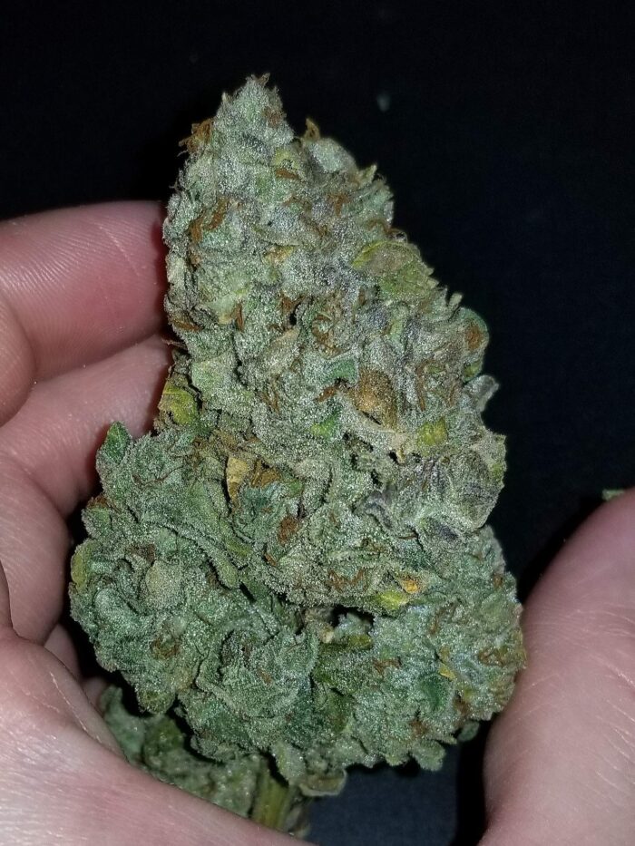 CBD Auto 1:1 (CBD Crack)