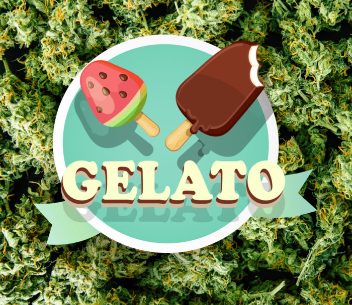 Gelato