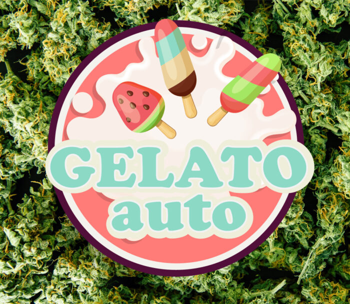 Gelato Auto