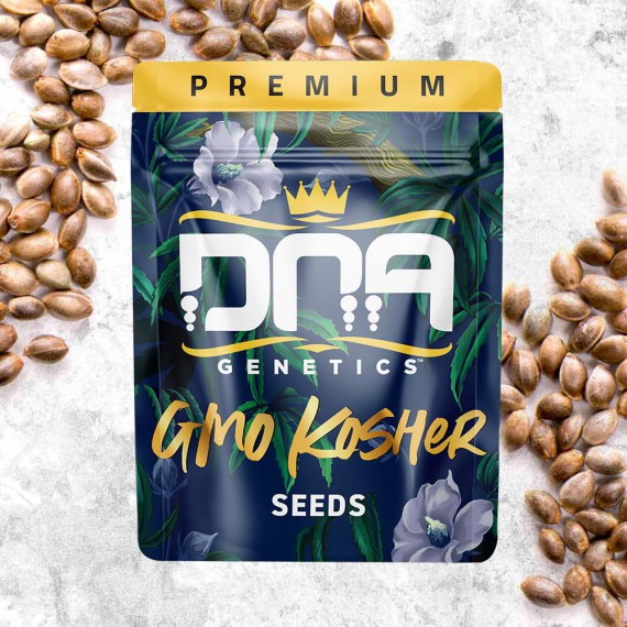 GMO Kosher