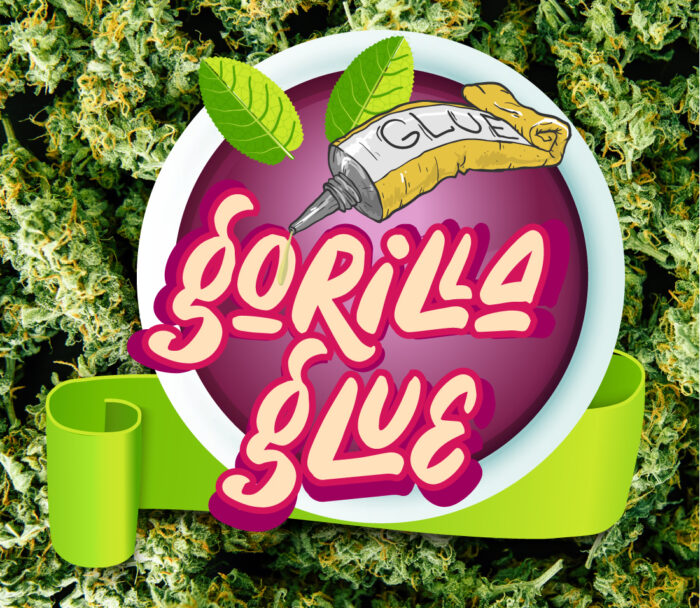Gorilla Glue