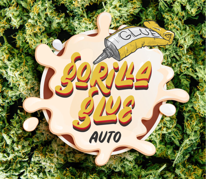 Gorilla Glue Auto