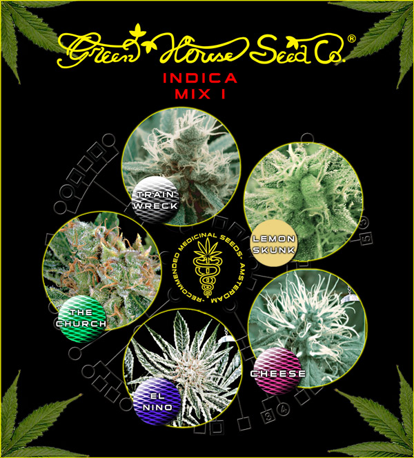 Indica Mix I
