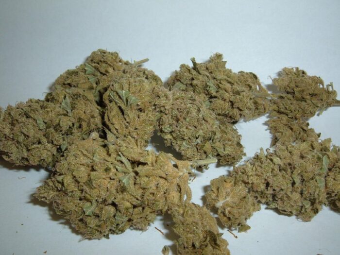 Damn Sour