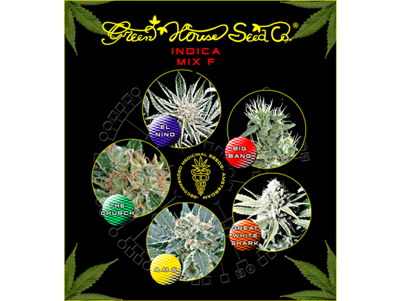 Indica Mix F