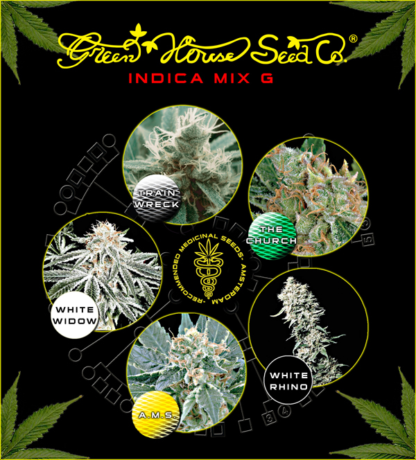 Indica Mix G