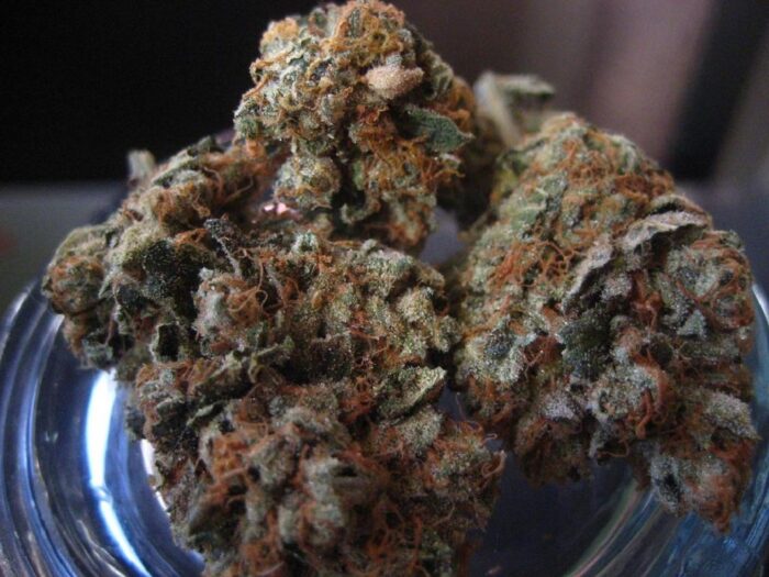 Pure Kush
