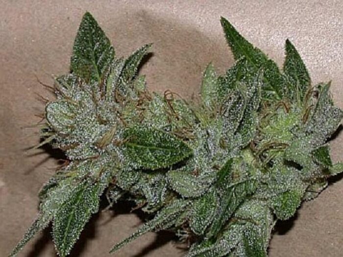 Super Critical