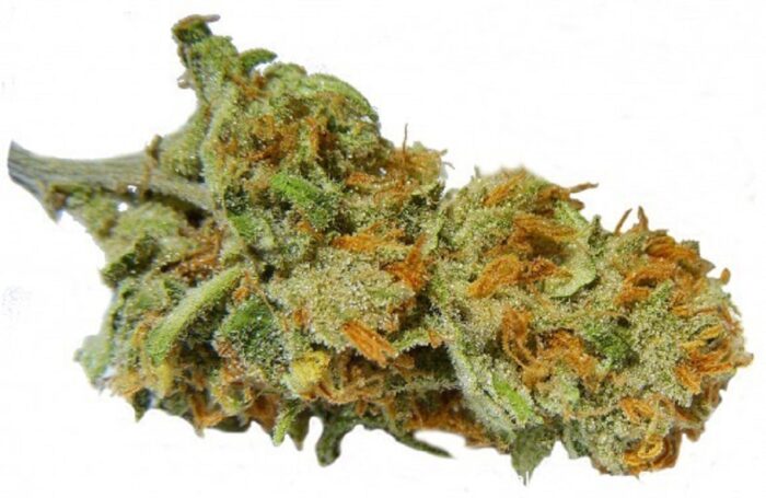 Super Lemon Haze
