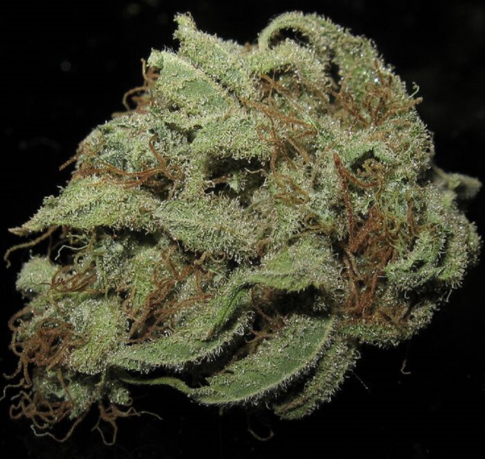 Train Wreck