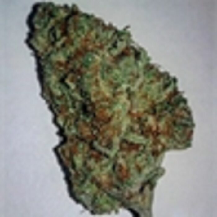White Widow