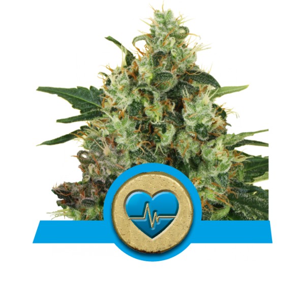 Medical Mass