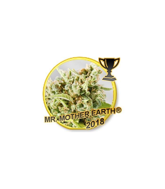 Mr. Mother Earth