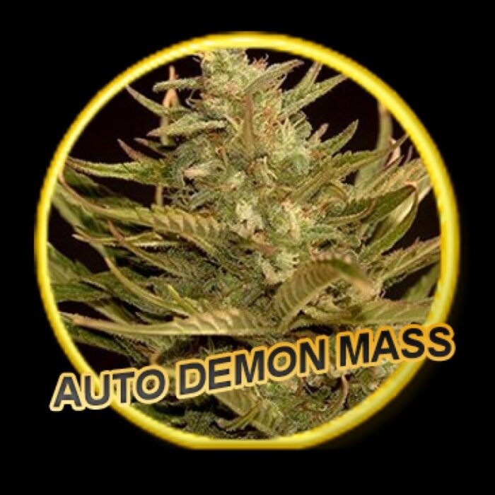 Auto Demon Mass