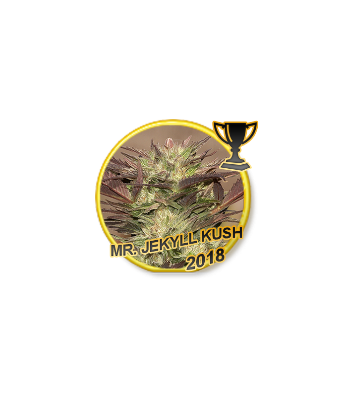 Mr. Jekyll Kush
