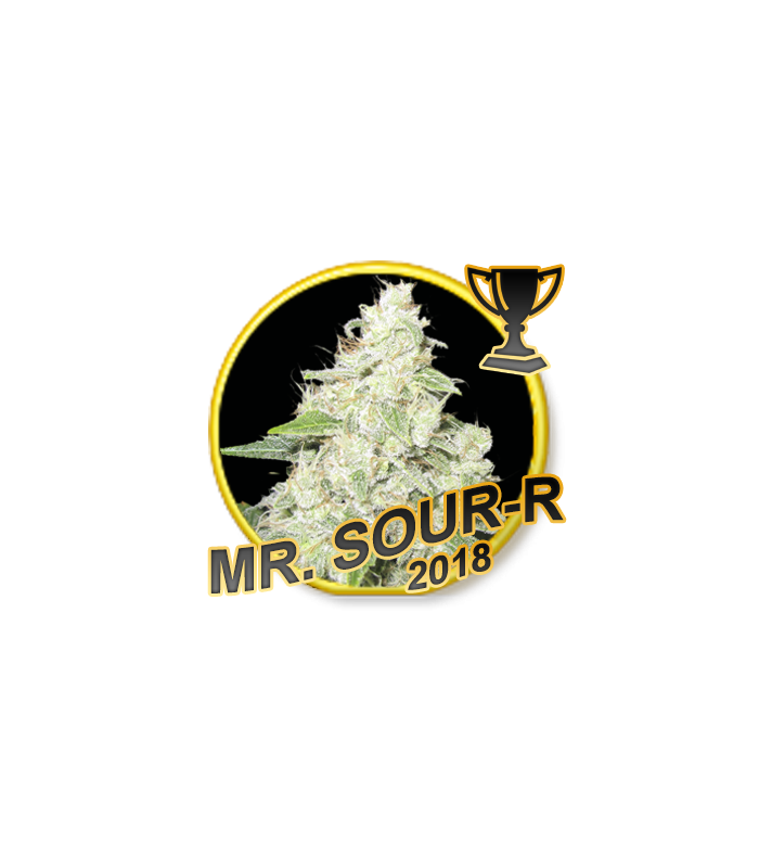 Mr. Sour-r