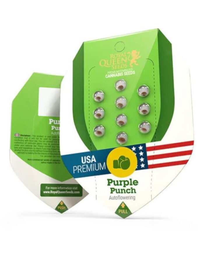 Purple Punch Automatic