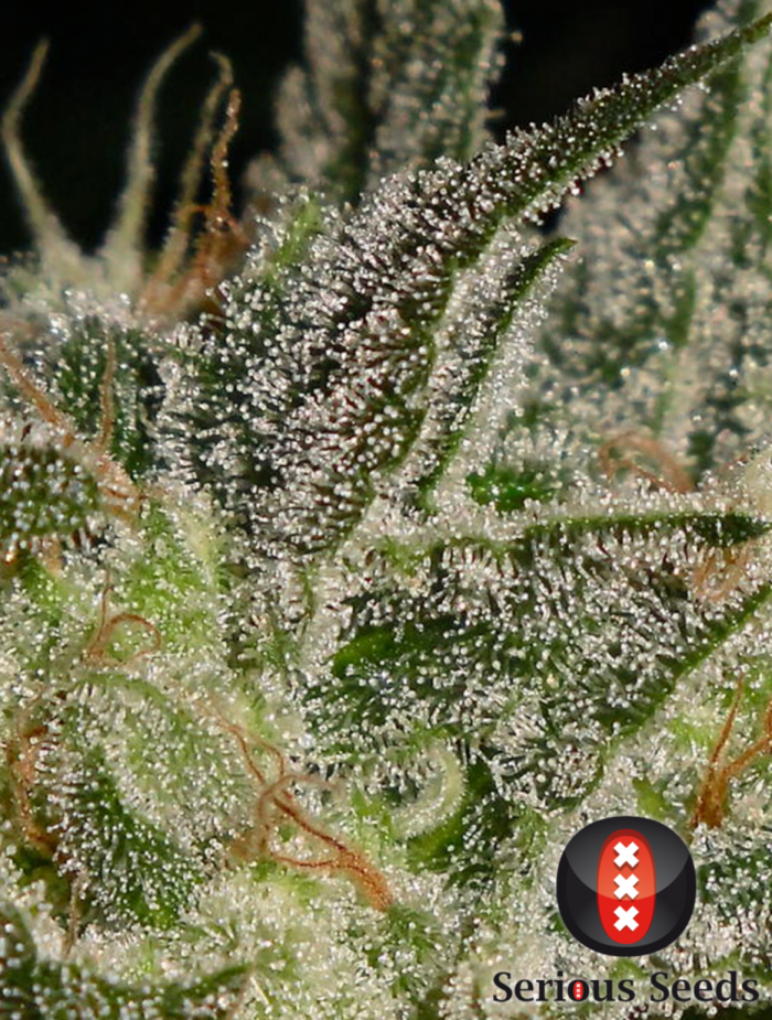 AK-47