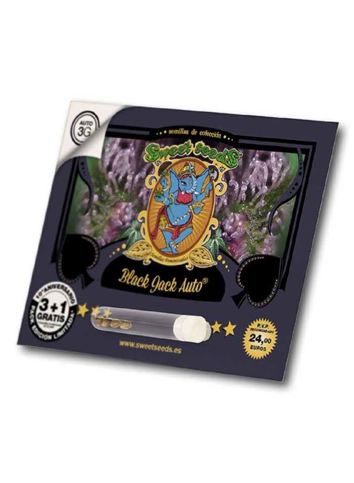 Black Jack Auto