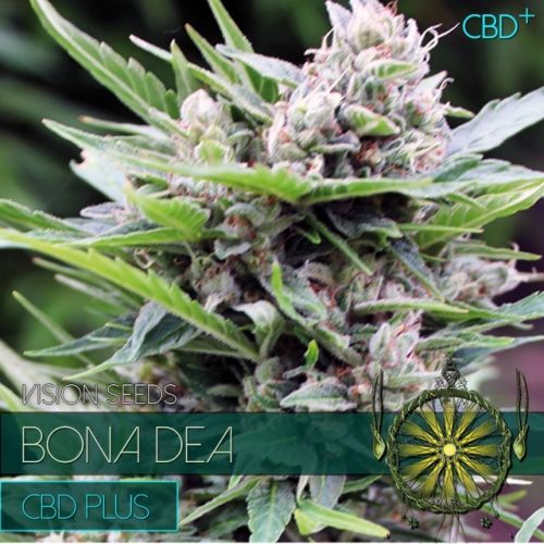 Bona Dea Cbd+