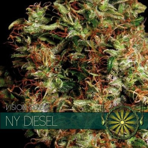 Ny Diesel