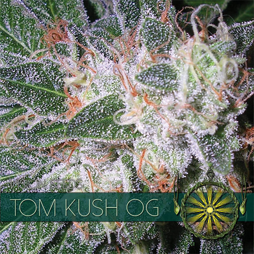 Tom Kush Og