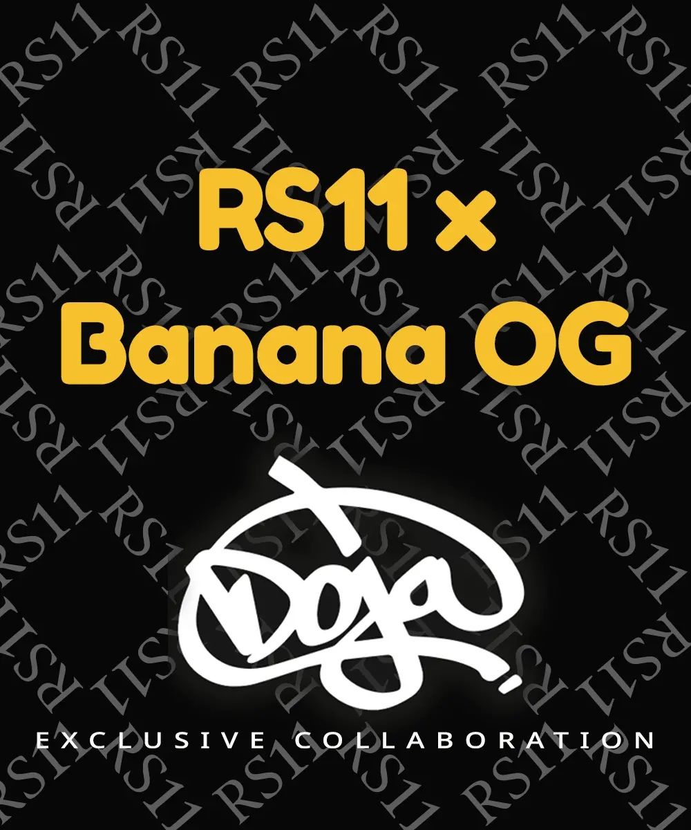 nasiona marihuany rs 11 x banana og od barney's farm